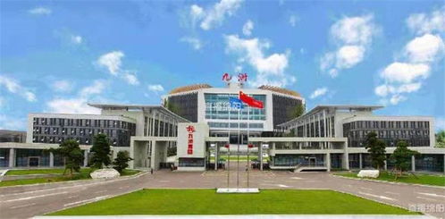 突破300亿 九洲迈上高质量发展 快车道