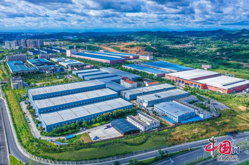 绵阳游仙 软硬兼施 让营商环境成为经济社会发展 硬支撑