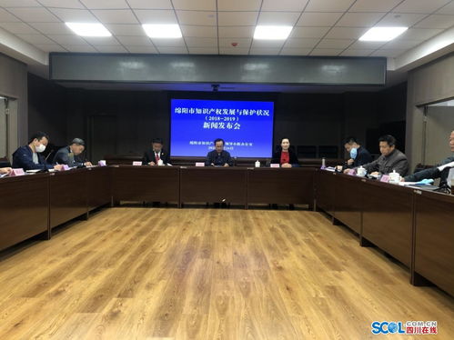 绵阳发布知识产权发展与保护状况白皮书