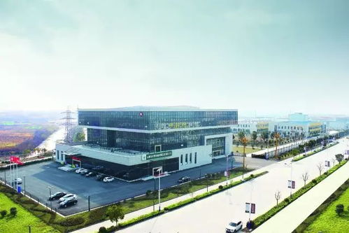 承煦电气集团丨承驰万里迎上合 煦越胶澳奏凯歌