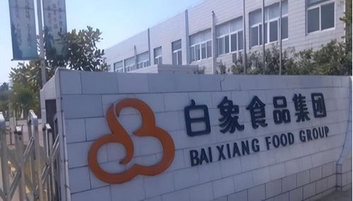 老牌归来与新秀退潮 康师傅复出与白象失速背后的市场启示