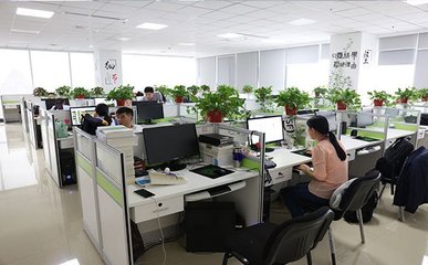 绵阳薪税师报考条件